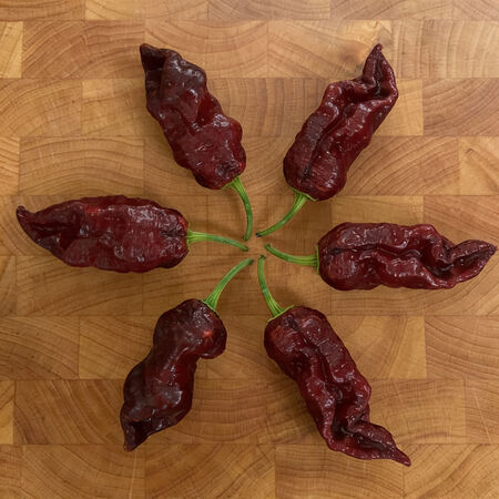 Chocolate Bhut Jolokia, Pepper Seeds - Packet image number null